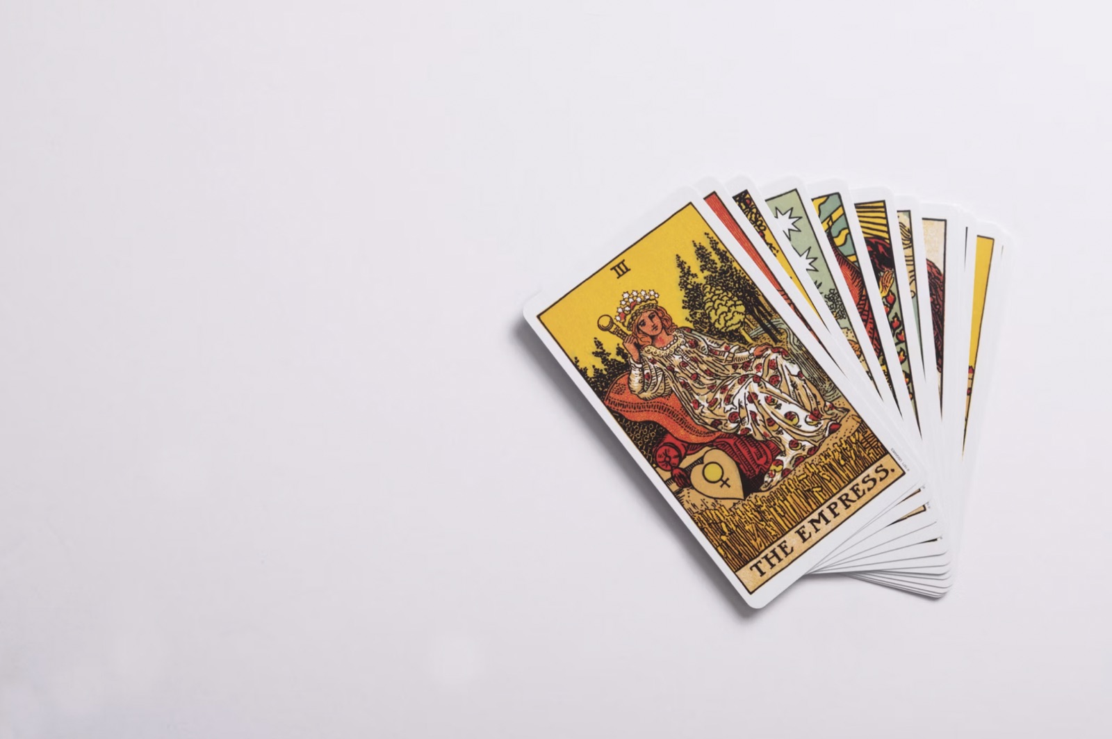 A beginner prepares to start a tarot reading with a deck, notebook, and tea arranged on a table.