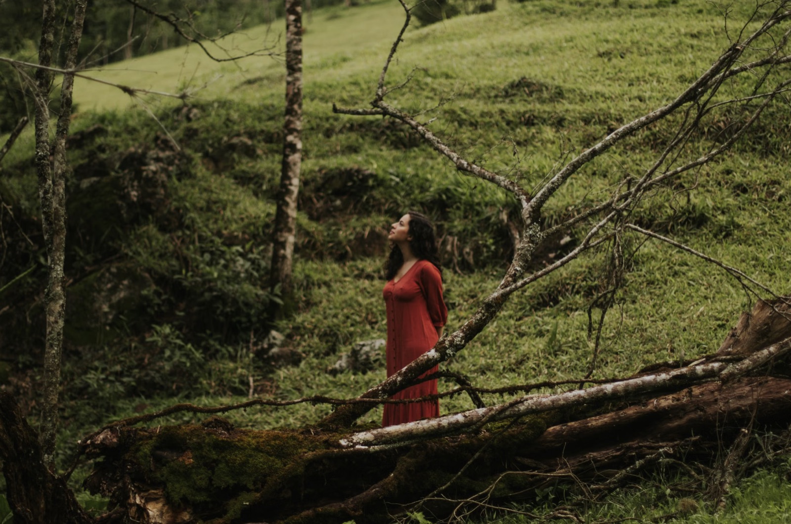 A calm person standing in nature and taking a steady breath before moving forward.