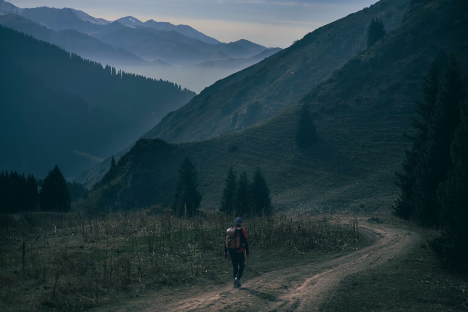 A single person walking forward along a path at dusk, suggesting reflection and emotional transition.