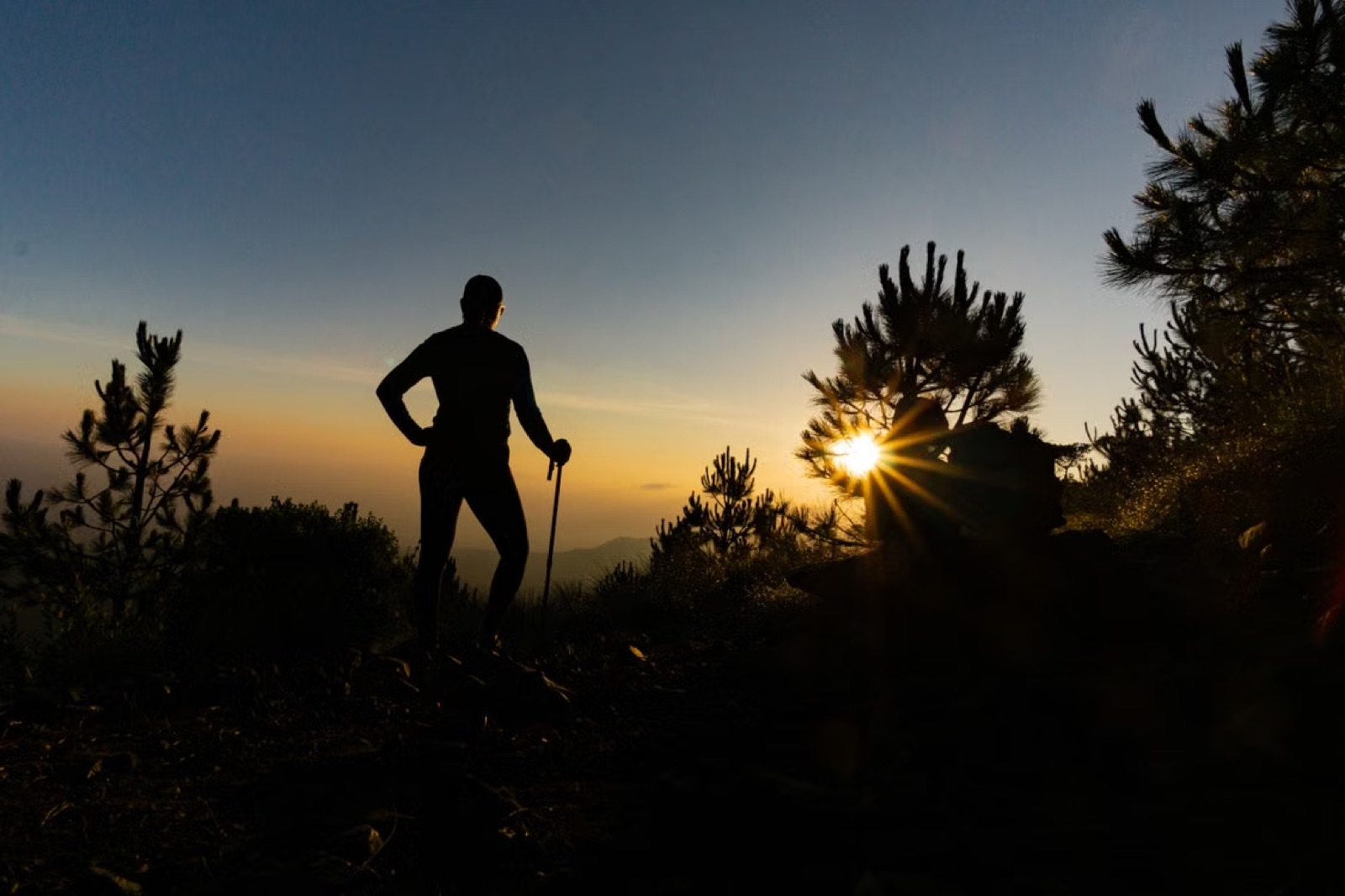 A person walking toward an open road in morning light, symbolizing transition and a more honest next chapter.