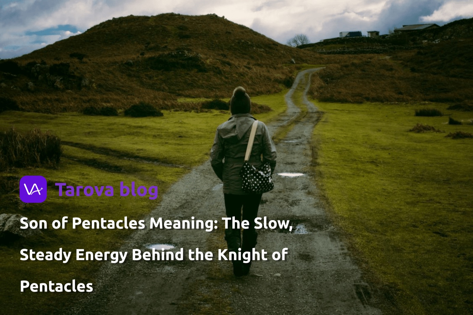 Son of Pentacles 含义:它为什么常被视作 Knight of Pentacles 的另一种写法