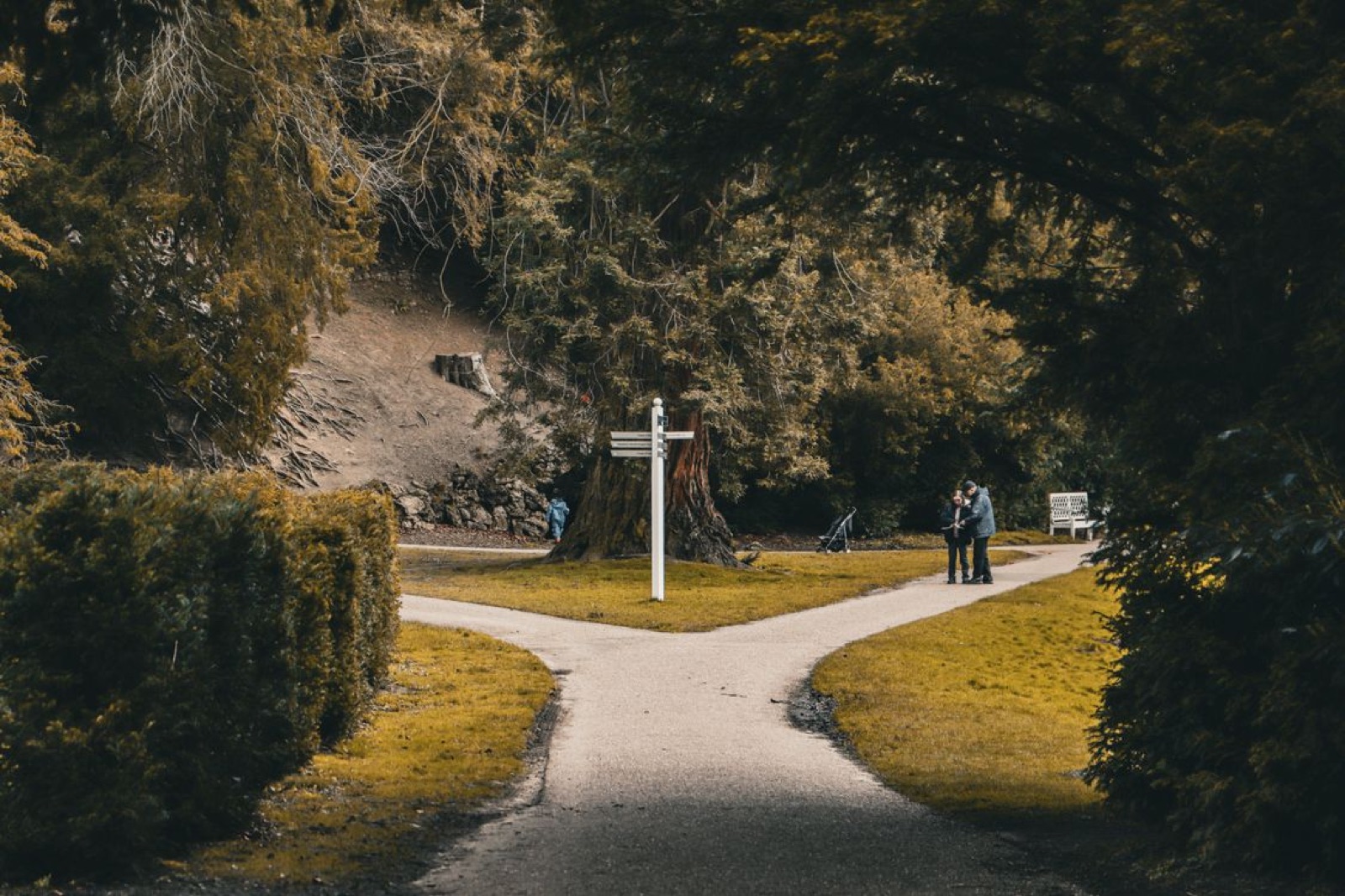 A crossroads path representing a yes or no tarot decision